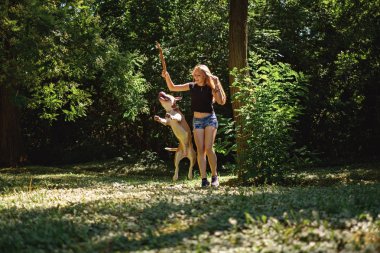 Köpek bir yaz günü parkta dal için atlıyor iken kız gülümsüyor