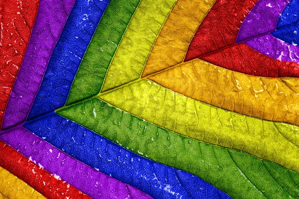 LGBT bayrağının renkleriyle boyanmış büyük sayfa