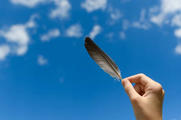 Mano Los Niños Sostiene Una Pluma Sobre Fondo Cielo Azul — Foto de Stock