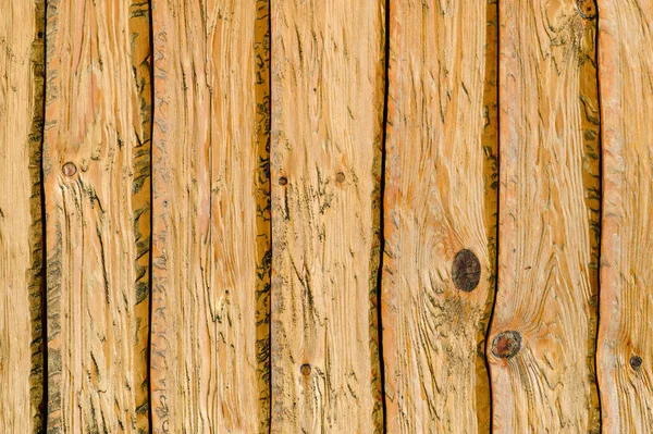 Wood texture of light oak. Lacquered vertical oak planks