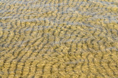 Şeffaf deniz ve kumlu taban. Deniz dokusu.