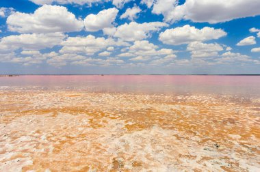 Kırım 'daki tuzlu pembe göl