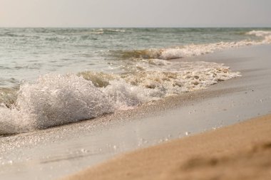 Kumlu bir sahilde deniz dalgalarından sıçramış. Gün batımında sakin bir deniz değil..