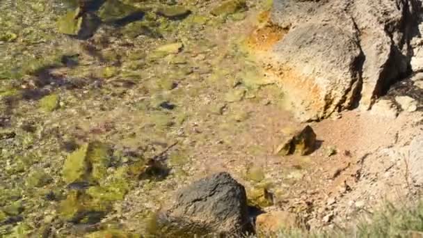 Curăță Marea Liniștită Lângă Stânci Pietre Uriașe Plaja Sălbatică După — Videoclip de stoc