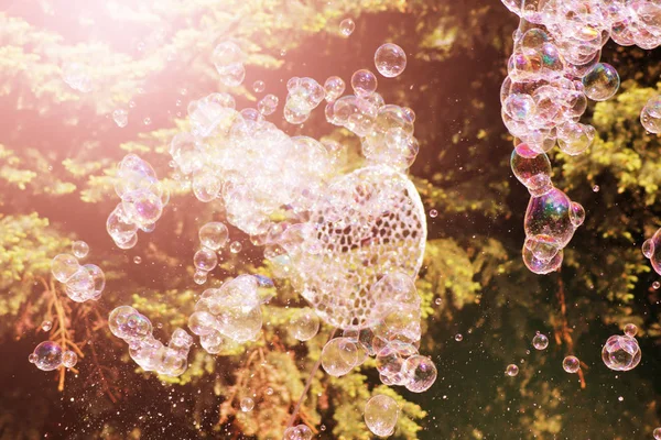 Мыльные Пузыри Абстрактный Фон Смешно — стоковое фото