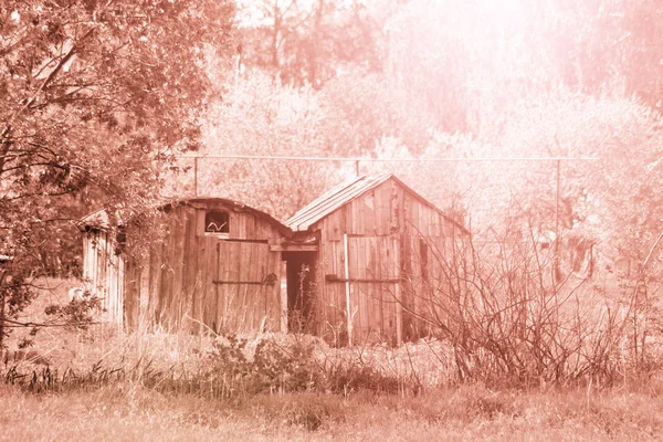 Parte Antico Casale Natura Tonica — Foto Stock
