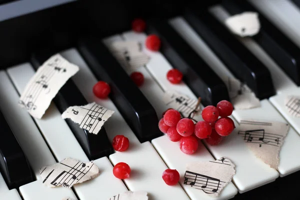Красные Ягоды Вибурнума Фортепиано Музыка — стоковое фото