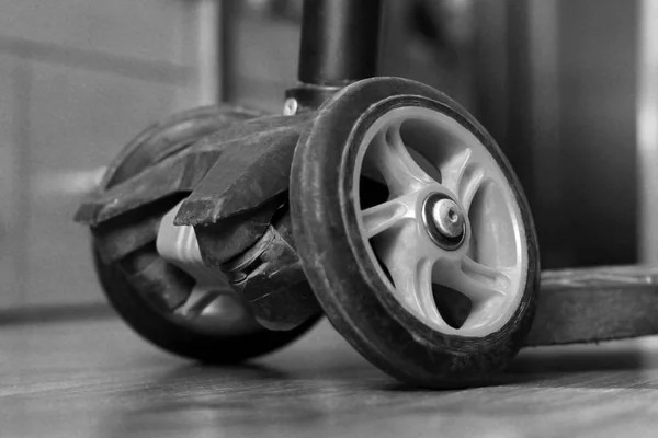 Small scooter wheels, three-wheeled transport, black and white