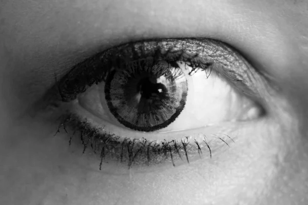 Женский глаз с серыми контактными линзами так близко — стоковое фото