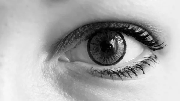 Weibliches Auge mit grauer Kontaktlinse so nah — Stockfoto
