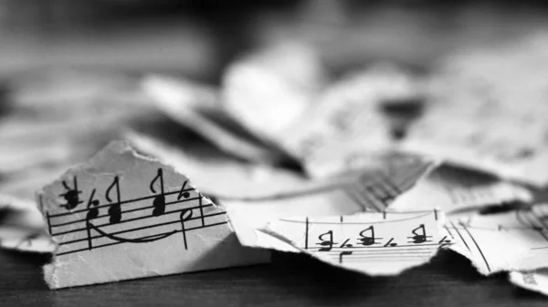 Notas musicales rasgadas, trozos de papel — Foto de Stock