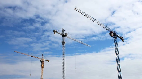 Construcción de grúas torre contra el cielo azul — Foto de Stock