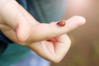 Çocuğun parmağında uğur böceği