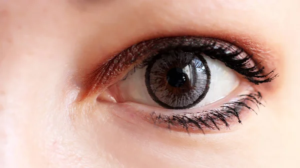 Female eye with grey contact lens so close — Stock Photo, Image