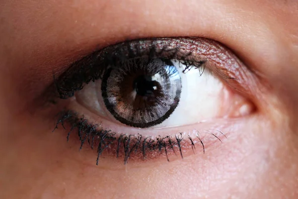 Ojo femenino con lente de contacto gris tan cerca — Foto de Stock