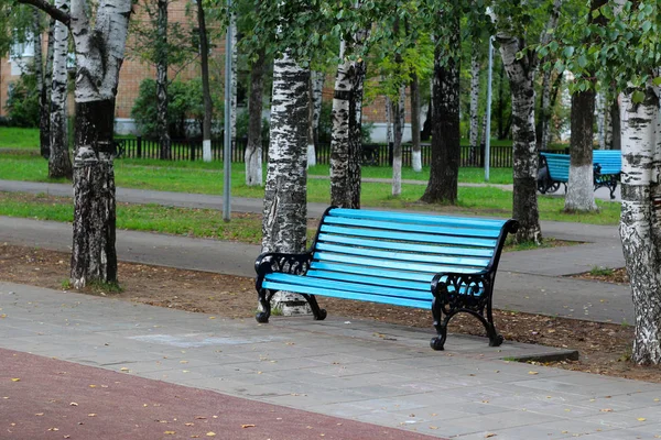 Blue wooden bench in garden — Stock Photo, Image