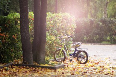 Sonbahar Parkı'nda Çocuk Bisikleti