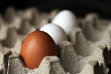 Karton ambalaj kahverengi ve beyaz tavuk yumurtası