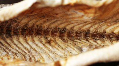 Balık dokusu, iskelet ve omurga, arka plan.