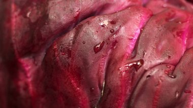 Kırmızı lahana arka plan için çok yakın.