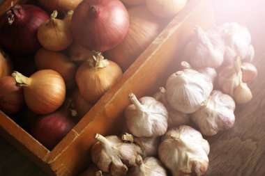 Taze soğan ve sarımsak, sebze hasadı, yiyecek.