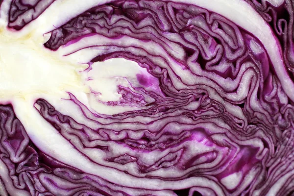 Red cabbage so close for background — Stock Photo, Image