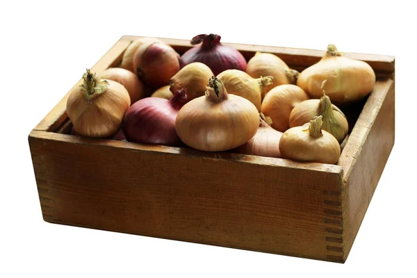 Oignons frais dans une boîte en bois isolé sur fond blanc — Photo