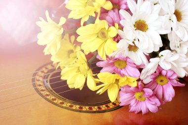 Gitarda bahar renklerinde papatyalar