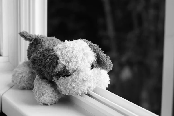 Soft children\'s toy dog on window. Danger, risk of falling out window. Concept of child in danger.