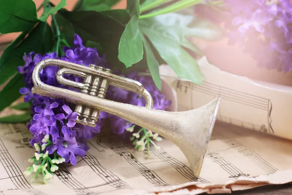 Trompette Sur Notes Musicales Fleurs Violettes Proches — Photo