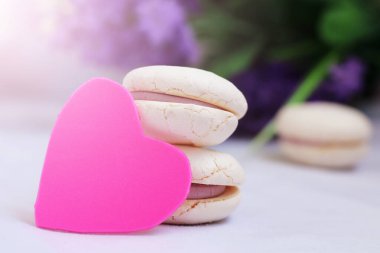 Makorunlar. - Kahve. Beyaz arka plan. makro fotoğrafçılık.