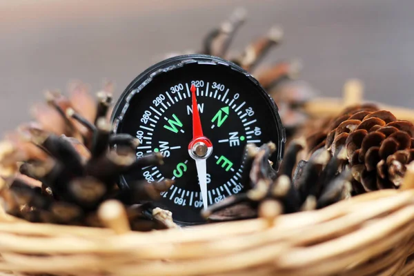 Compass Pine Cones White Background Travel Journey Backpacker — Stock Photo, Image