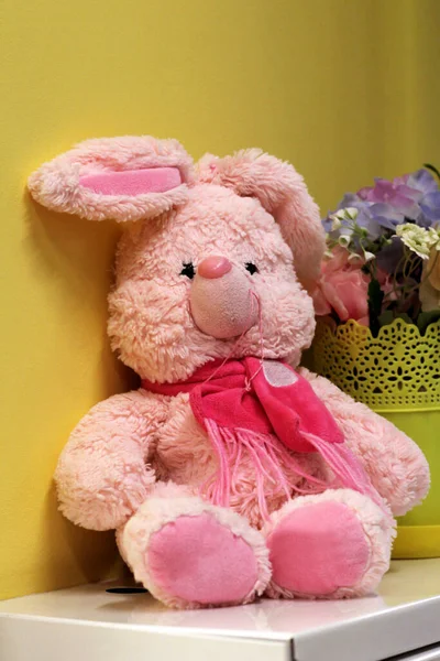 Рожевий Іграшковий Кролик Сидить Близько — стокове фото