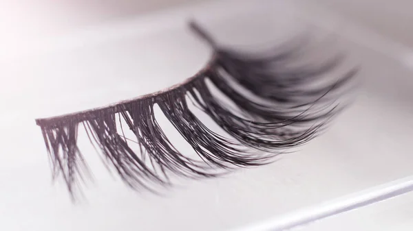 Pair Fake False Eyelash Close Macro — Stock Photo, Image