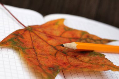Turuncu kalem, sonbahar yaprağı ve kitap. Okul teması. Çok yakındı..