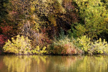 Autumn Park ve göl, güzel, parlak manzara, açık hava.