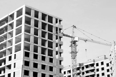 Mavi gökyüzüne karşı turna ve inşaat sahası