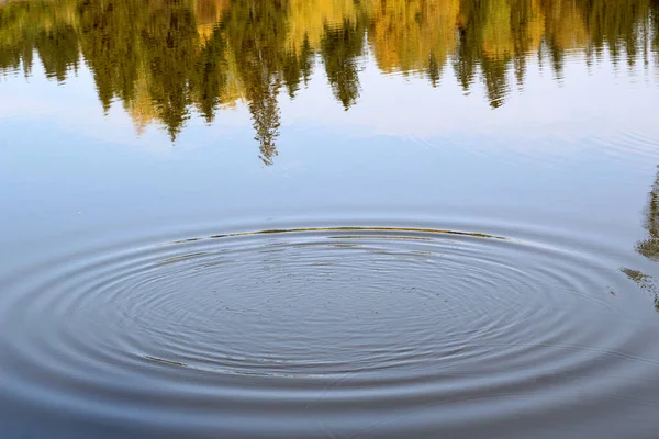 Ripple on the water, autumn nature