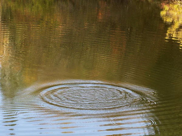 Ripple on the water, autumn nature