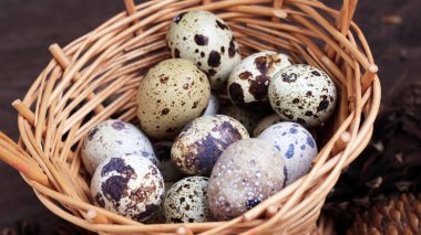 Sepette bıldırcın yumurtaları, üst manzara..