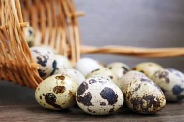 Bıldırcın yumurtası ve sepet, üst manzara..