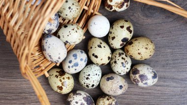 Bıldırcın yumurtası ve sepet, üst manzara..