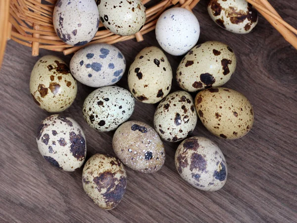 Перепелиные Яйца Корзина Вид Сверху — стоковое фото