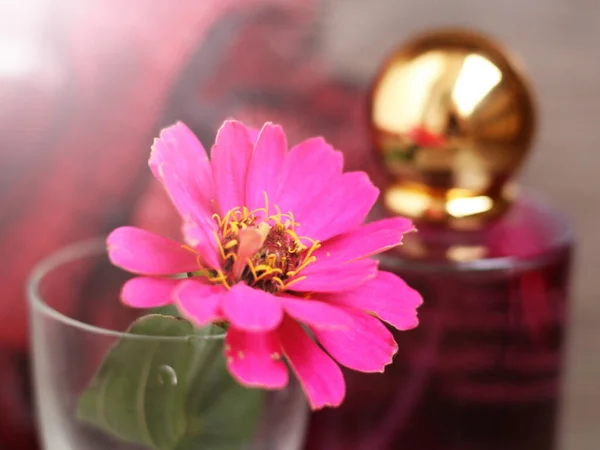 Butelka Perfum Różowy Kwiat Tak Blisko — Zdjęcie stockowe