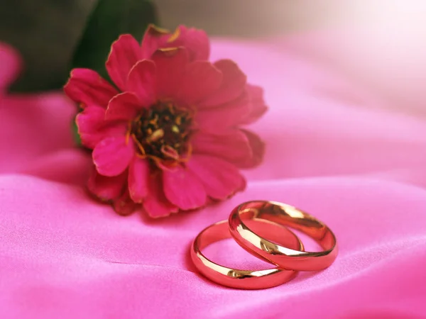 Bröllop Ringar Och Rosa Blomma Nära — Stockfoto
