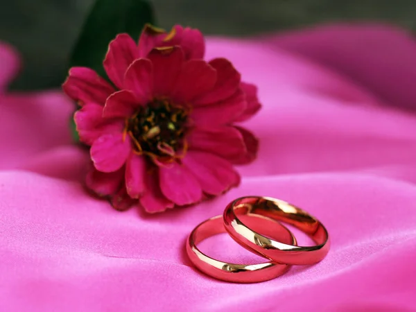 Anéis Casamento Flor Rosa Tão Perto — Fotografia de Stock