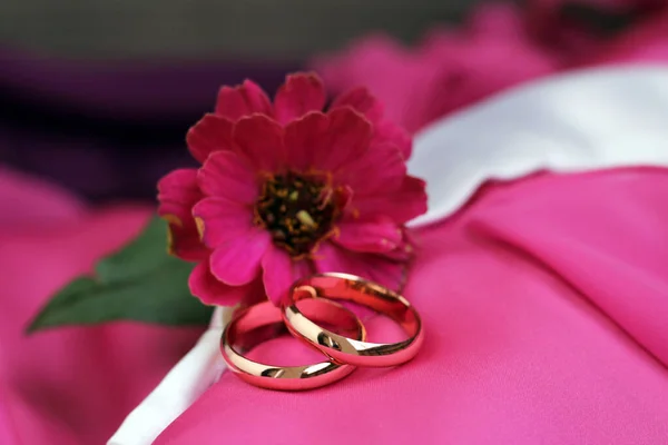 Anéis Casamento Flor Rosa Tão Perto — Fotografia de Stock