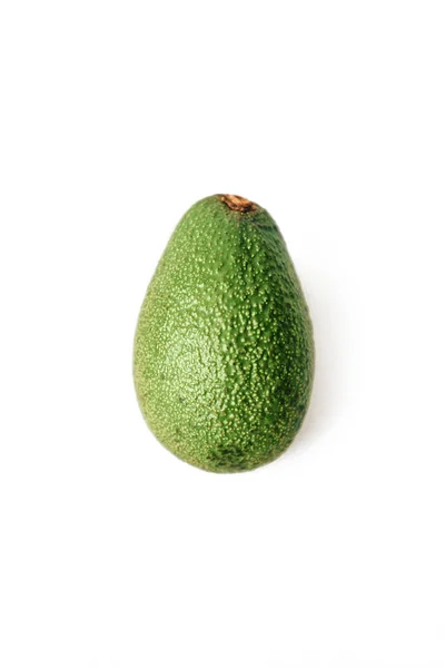 Avakado Vit Bakgrund Evergreen Frukt Växt Arter Släktet Perseus Laurel — Stockfoto