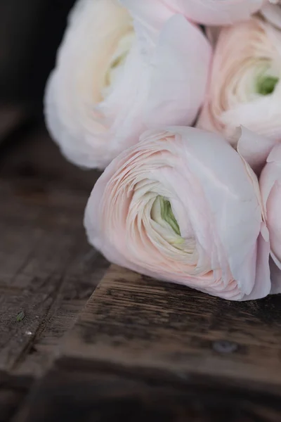 Buttercup Flower Wooden Table Flower Shop — Stock fotografie