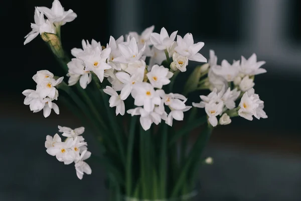 Narzissen Blühen Auf Einem Holztisch Blumenladen Die Schönste Pflanze — Stockfoto